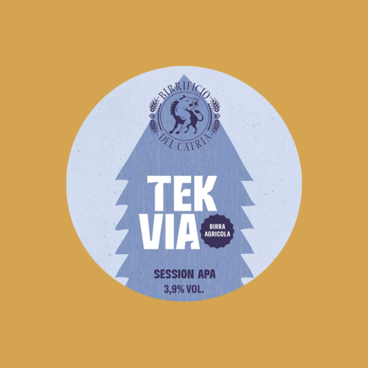 Tekvia - Session APA 12 bottiglie da 0,5L