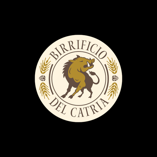 Box Selezione del Birraio – 12 Birre da 0,5 L🍻 - Birrificio del Catria